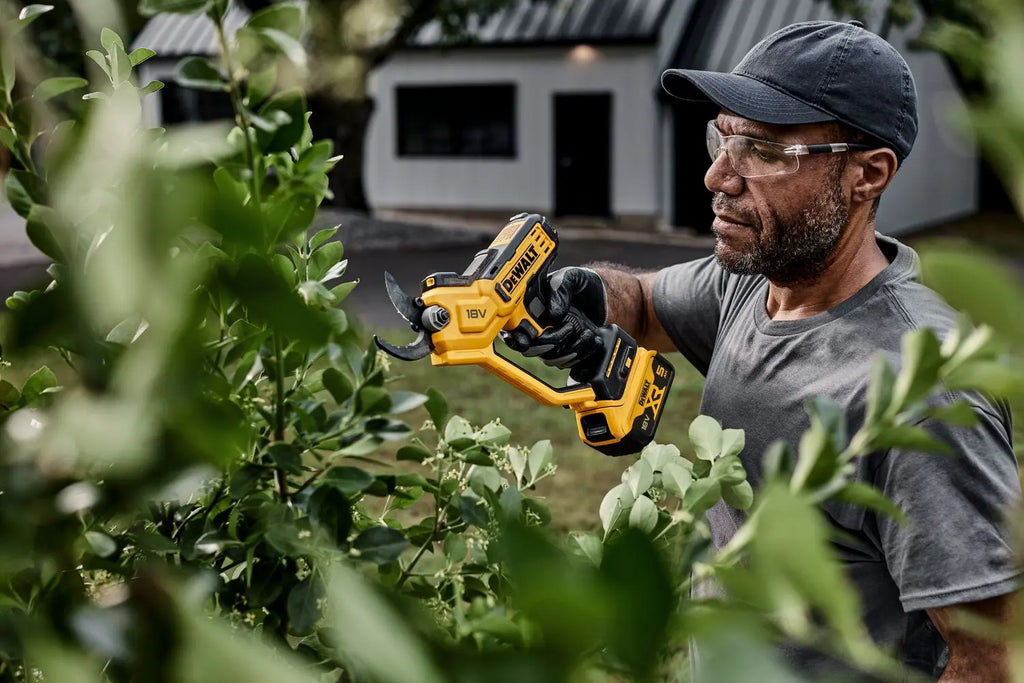 DeWALT Potatore a batteria 18V, 1x batteria 5,0 Ah XR, caricabatterie