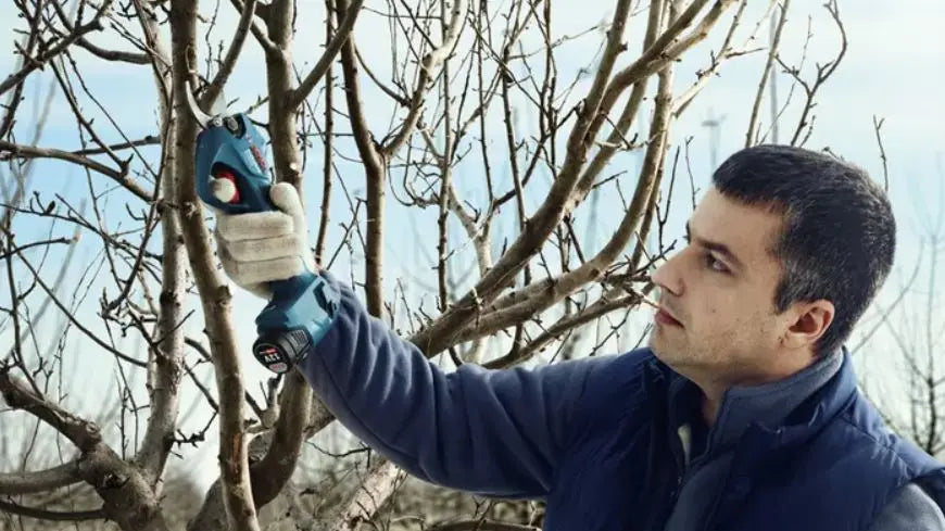 Bosch Attrezzature da giardino - Cesoie a batteria 12V, 2x batterie 3,0 Ah, caricabatterie 06019K1021