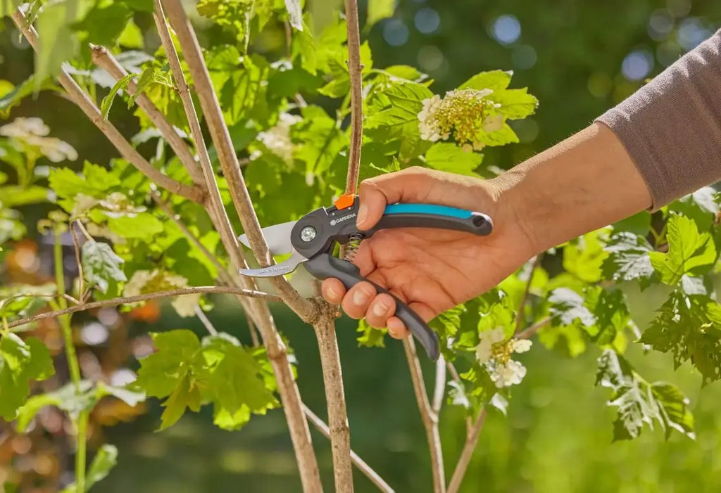 Gardena - Troncarami PremiumCut 12241-20