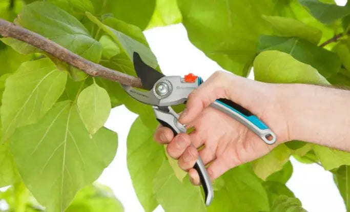 Gardena - Cesoie da giardino B/L Comfort 8906-20