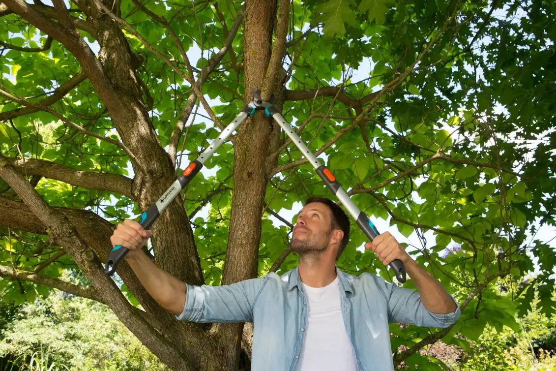 Gardena - Troncarami TeleCut 650-900 B, telescopico 12009-20