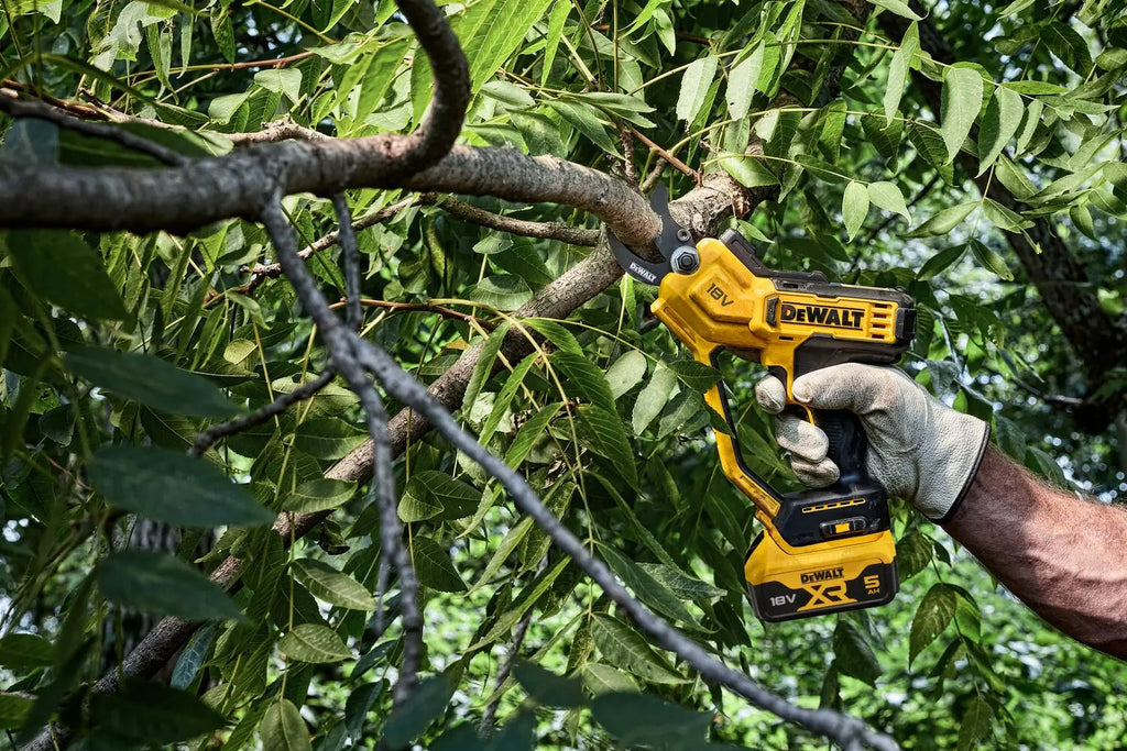 DeWALT Potatore a batteria 18V, 1x batteria 5,0 Ah XR, caricabatterie