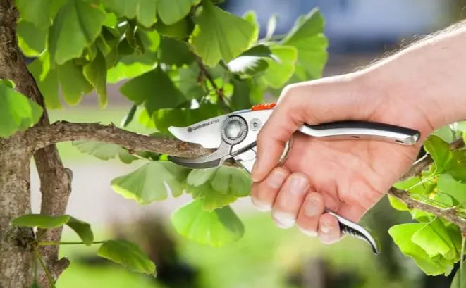 Cesoie da giardino Premium BP 50 8702-20