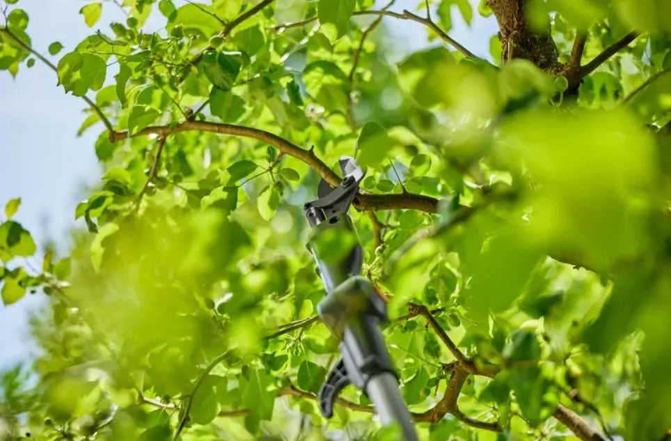 Gardena - troncarami telescopico AKU 18V HighCut 250/18V P4A, 1x batteria 2,0 Ah, caricabatterie 14774-20