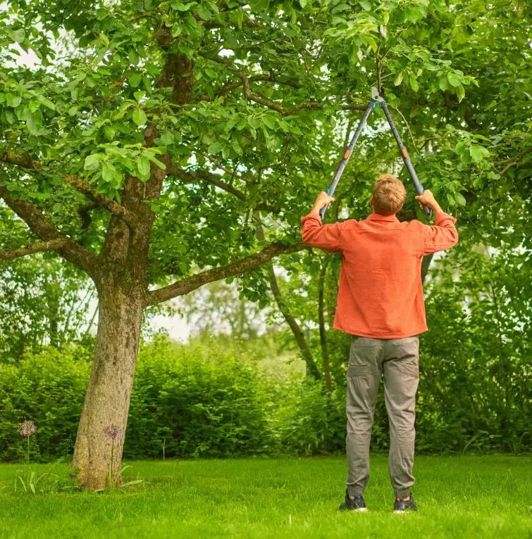 Gardena - Troncarami TeleCut Pro, telescopico, taglia L 12041-20